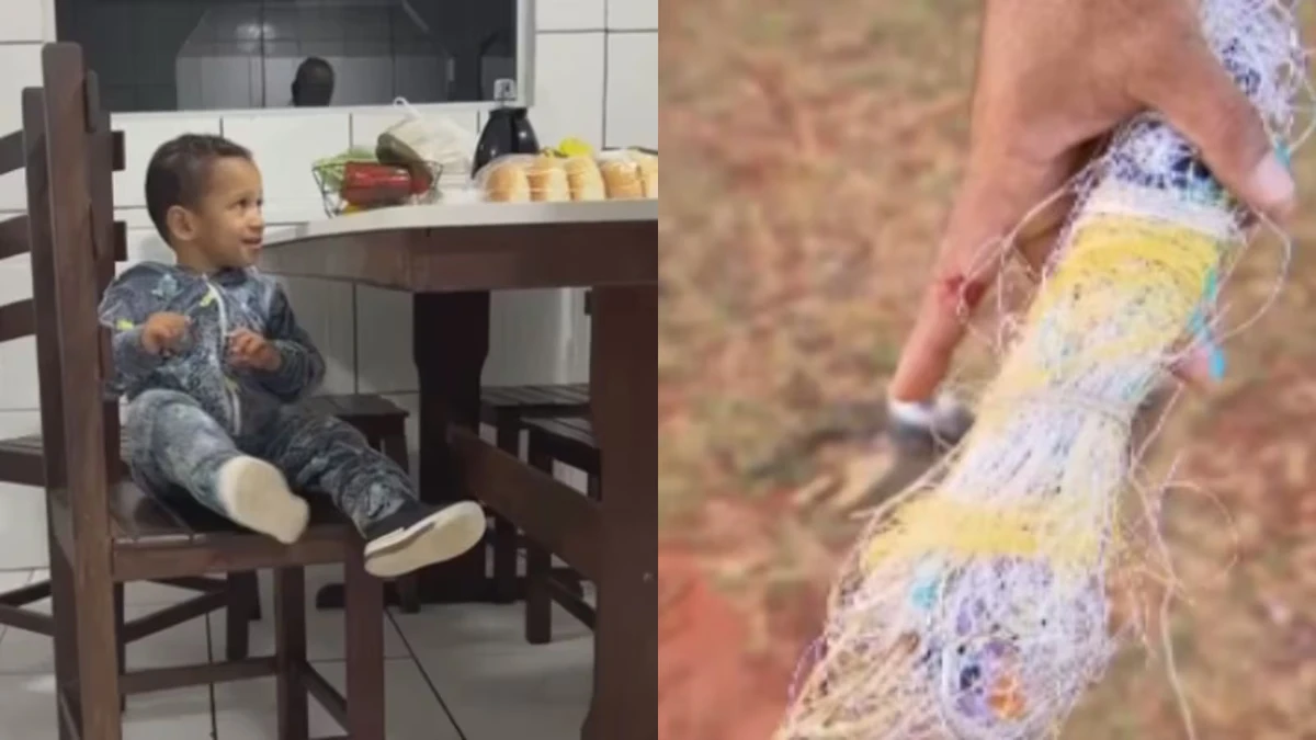 Bebê de 1 ano morre ao ser atingido no pescoço por linha de pipa considerada mais perigosa do que o cerol por Reprodução