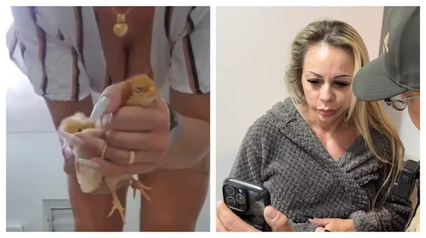 Empresária é presa suspeita de esmagar e matar animais para vender vídeos na internet