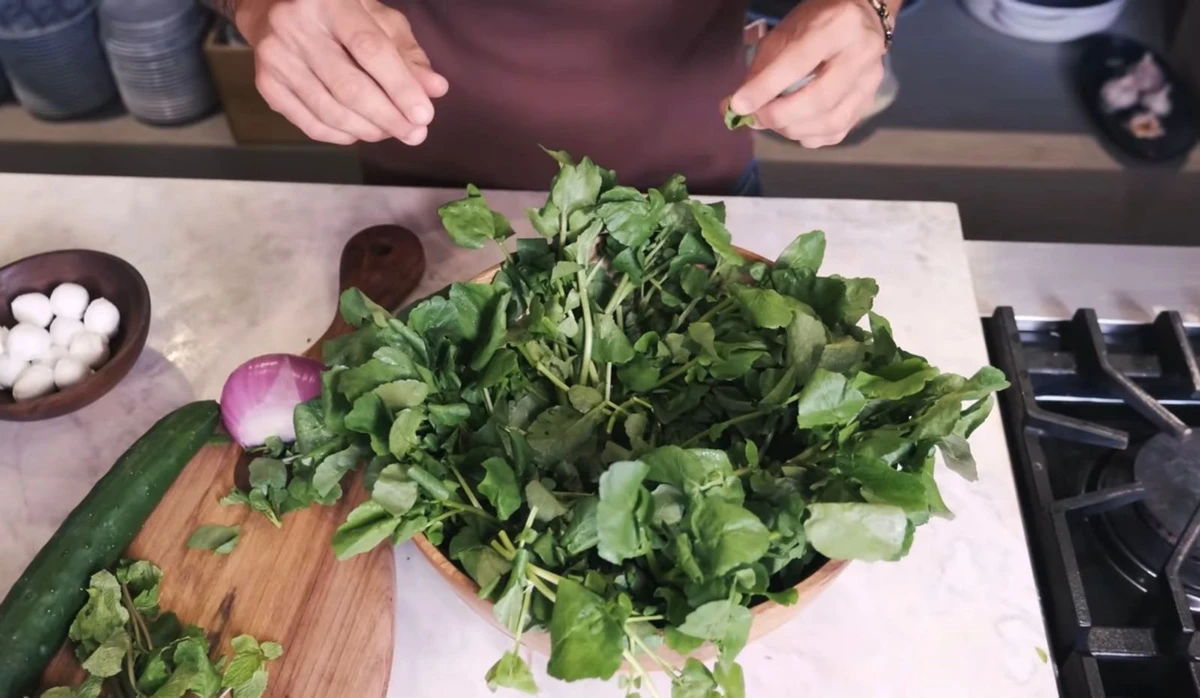 Receita de salada árabe: agrião d'água por Reprodução/Youtube