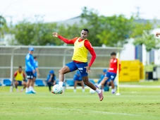 Imagem - Bahia recebe o Botafogo para chegar à Copa do Mundo com fim do jejum de triunfos