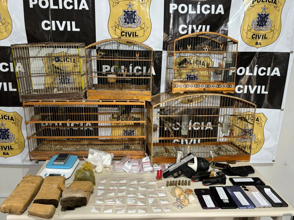 Animais apreendidos em Santo Estêvão 