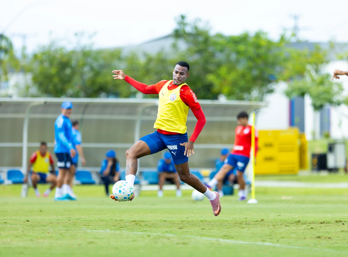 Bahia encara o Botafogo pela 18ª rodada do Brasileirão