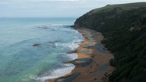 Como um destino na Oceania, a cidade também oferece turismo natural, como a Bushy Beach por Enrique Fernández / Wikimedia Commons