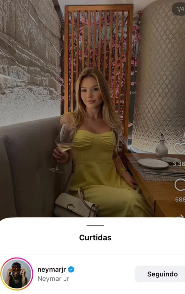 Foto de Laura Von Paumgartten curtida por Neymar por Reprodução