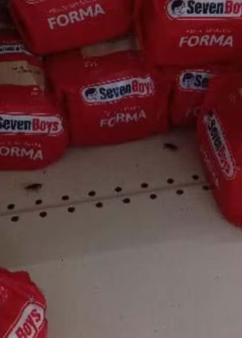 Larvas na comida, baratas e fezes entre produtos: funcionários denunciam supermercado por Reprodução/g1