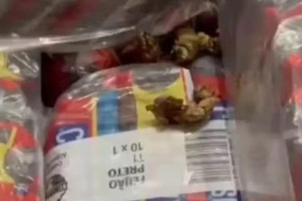 Larvas na comida, baratas e fezes entre produtos: funcionários denunciam supermercado
