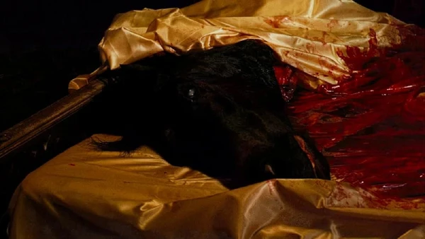Uma das cenas mais marcantes do filme ocorre quando Don Vito Corleone ordena a morte do cavalo de um chefão de Hollywood para garantir que Fontane, seja escalado . Segundo o mafioso, aquela seria uma “proposta irrecusável”