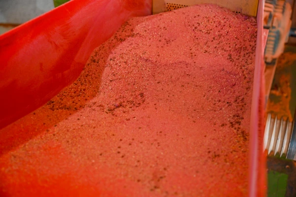 Vigilância Sanitária interdita fábrica clandestina de temperos em Vitória da Conquista por Divulgação
