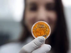 Imagem - Salmão, caviar e lula feitos em laboratório: conheça a nova aposta da Embrapa