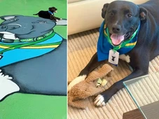 Imagem - Conheça PJ, o mascote da Seleção Brasileira que tem crachá da CBF, amizade com atletas e missão de acabar com a 'maldição do gato'
