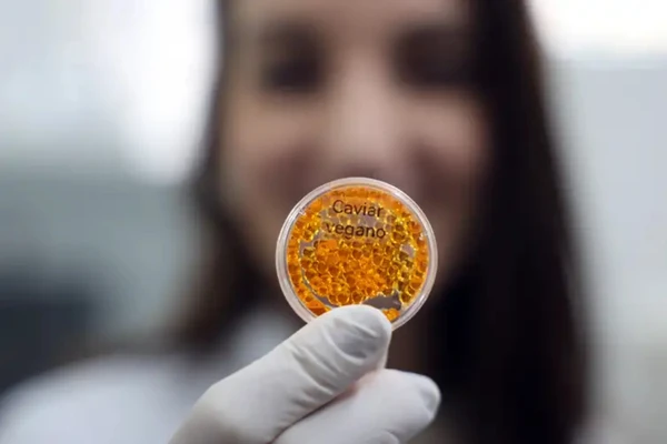 Embrapa cria salmão, caviar e lula veganos para ampliar mercado de alimentos à base de plantas