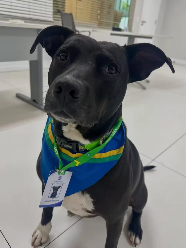 PJ é o mascote da Seleção por Reprodução