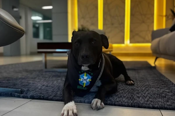 PJ é o mascote da Seleção por Reprodução