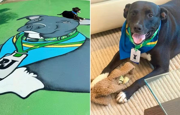 PJ é o mascote da Seleção