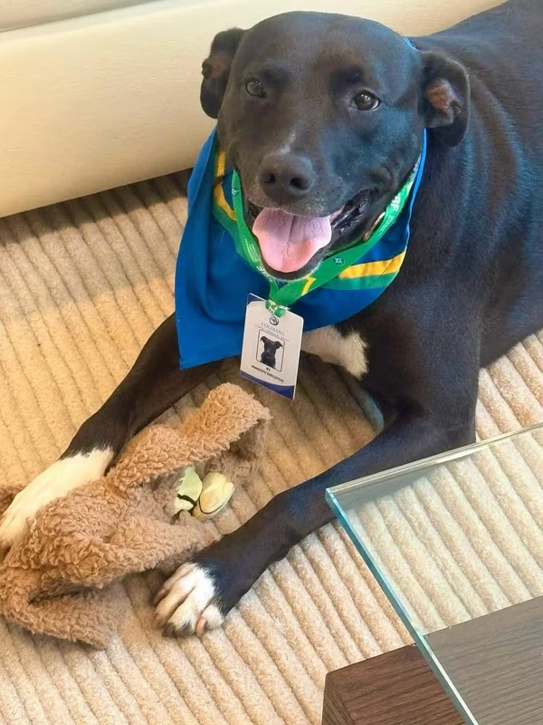 PJ é o mascote da Seleção por Reprodução