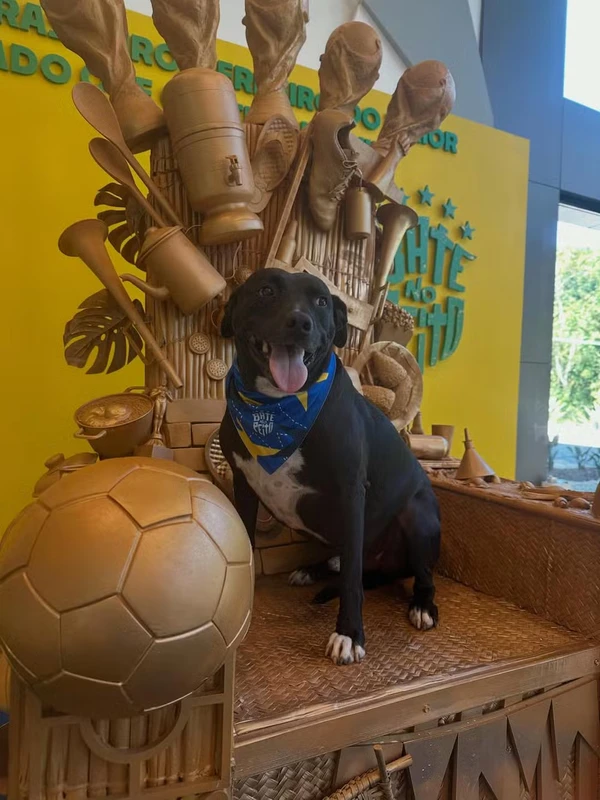 PJ é o mascote da Seleção por Reprodução