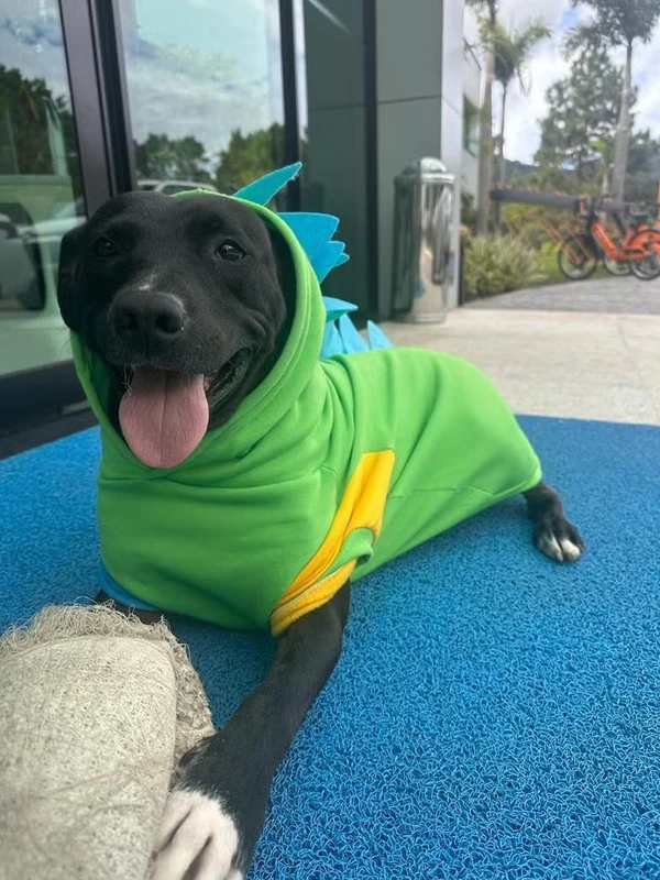 PJ é o mascote da Seleção por Reprodução