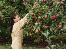 Imagem - As 4 melhores espécies de árvore para plantar no quintal para ter sempre frutas frescas, e sem rachaduras no piso