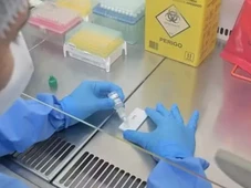 Imagem - Ebola? Pacientes que passaram por áreas com surto são investigados no Brasil