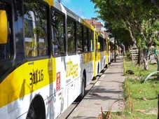 Imagem - Bairro de Salvador ganha nova linha de transporte para a orla a partir desta segunda (1°)
