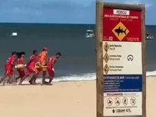 Imagem - Criança de 11 anos é atacada por tubarão em praia de Pernambuco