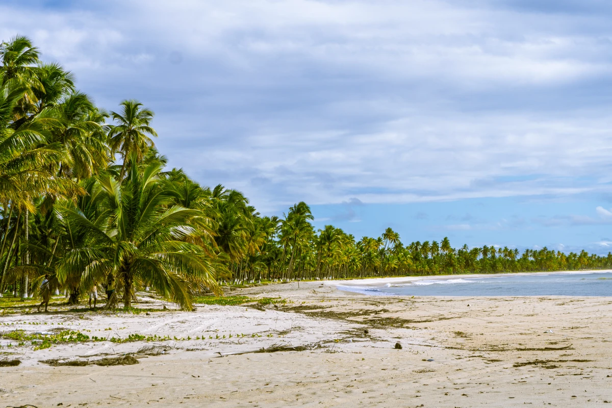Romaria de São Francisco em Boipeba, Bahia (2026) por Tiago Victor