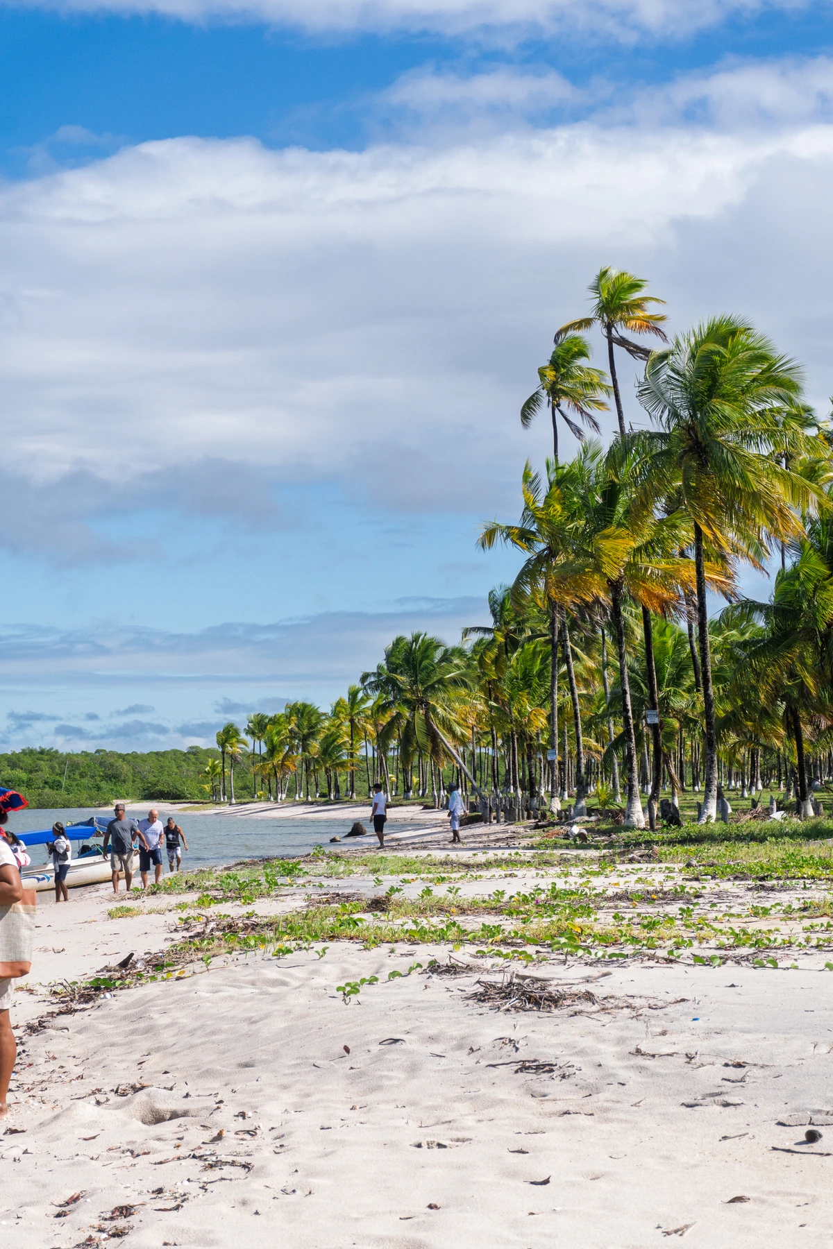 Romaria de São Francisco em Boipeba, Bahia (2026) por Tiago Victor