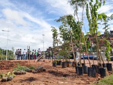 Imagem - Salvador ganha primeira floresta de bolso; entenda como ela pode ajudar a reduzir o calor na cidade