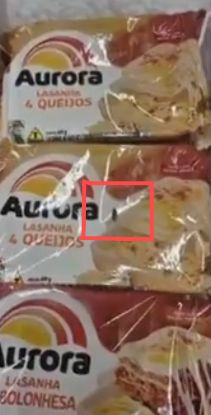 Barata é flagrada por cliente andando sobre lasanhas em freezer de supermercado por Reprodução