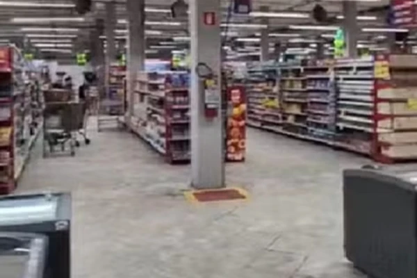 Barata é flagrada por cliente andando sobre lasanhas em freezer de supermercado por Reprodução