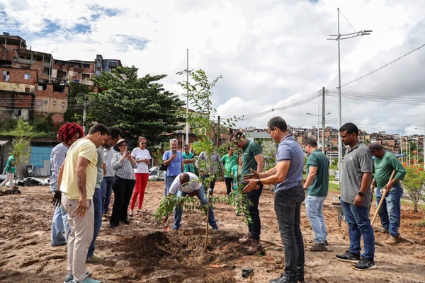 Escolha levou em consideração necessidade de ampliar a cobertura vegetal em uma região densamente urbanizada por Bruno Concha / Secom PMS