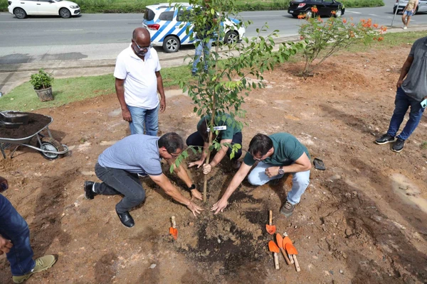 Primeira microfloresta urbana fica entre as avenidas Gal Costa e Jayme Figura por Bruno Concha / Secom PMS