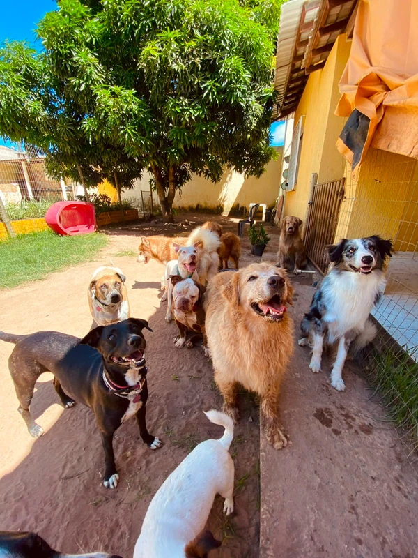 Na Hospedagem Afetiva, em Itapuã, há estratégias que promovem conforto e tranquilidade aos hóspedes