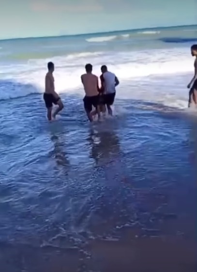 Jovem perdeu a perna após ataque de tubarão por Jovem perdeu a perna após ataque de tubarão