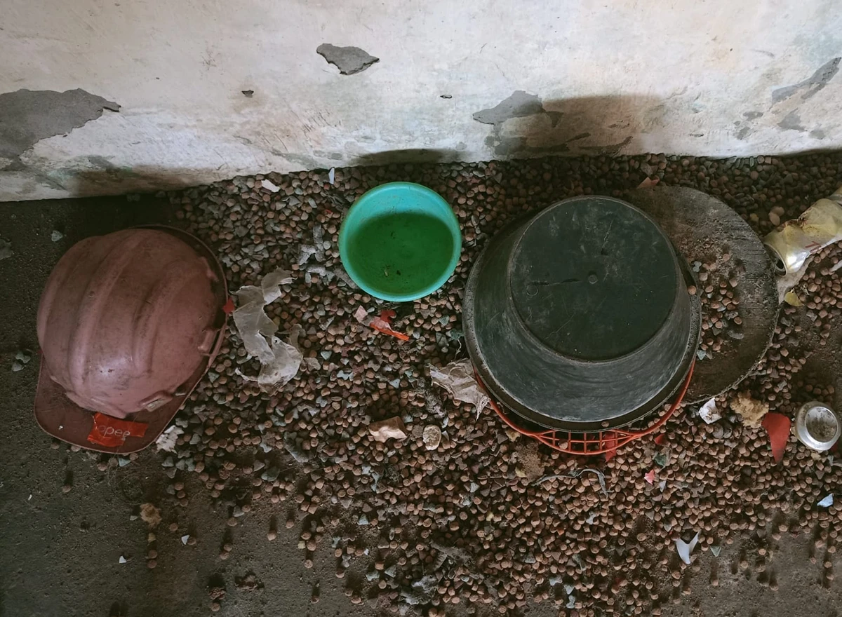 Cães são resgatados de local usado para reprodução em condições de maus-tratos por Divulgação