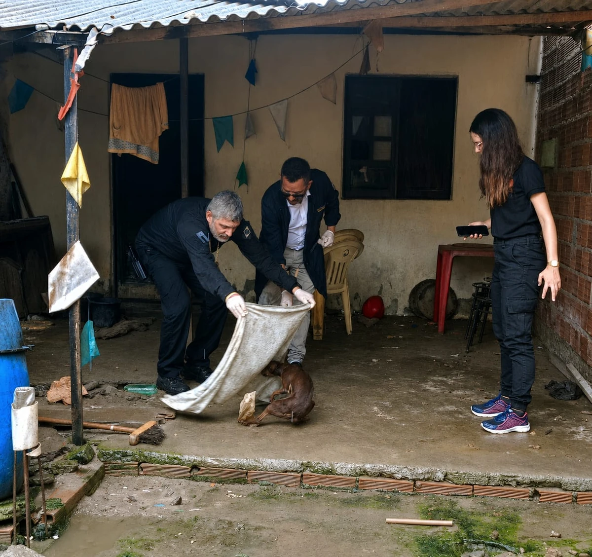 Cães são resgatados de local usado para reprodução em condições de maus-tratos por Divulgação