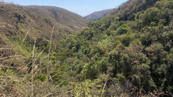 Área que sofreu forte impacto ambiental nos anos 1980 hoje é protegida como monumento natural para garantir a regeneração da fauna e flora. Filipe Briner/Arquivo Pessoal por curtamais