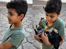Imagem - Emocionado, menino chora e convence mãe a adotar única cachorrinha rejeitada em feira de adoção na Bahia