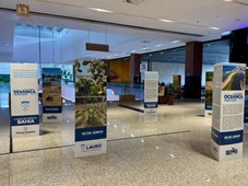Imagem - Mutirão nas praias e exposição levam debate sobre cultura oceânica a Lauro de Freitas