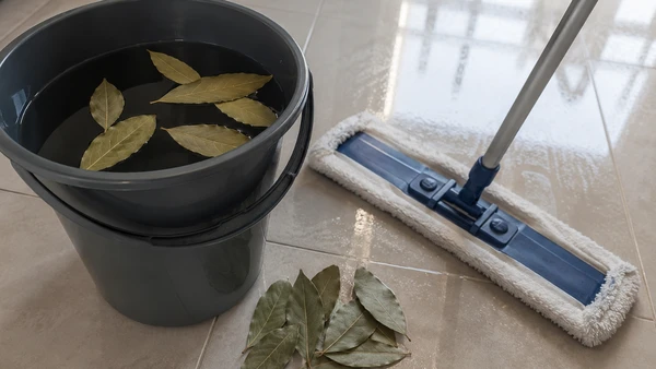Folhas de louro na água da limpeza ajudam a deixar o chão com sensação de seco limpo, sem cheiro forte de produto