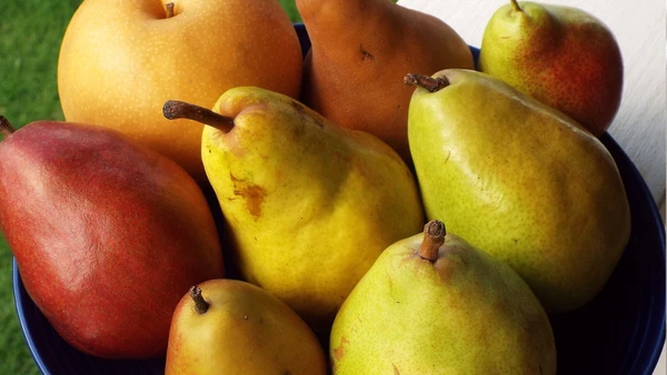 Mesmo discreta na fruteira, a pera reúne fibras, antioxidantes e potássio que ajudam na digestão, na saciedade e nos cuidados com o coração