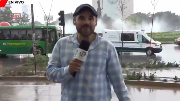 Micos envolvendo repórteres por Reprodução
