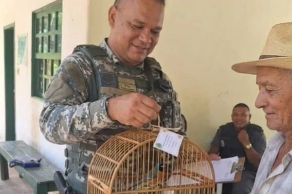 50 aves silvestres são resgatadas durante campanha em Salvador