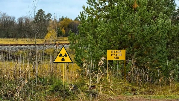 O reator 4 de Chernobyl foi o ponto central do acidente nuclear de 26 de abril de 1986; anos depois, a estrutura passou a ser coberta por sarcófagos de contenção para reduzir a dispersão de material radioativo por Jorge Franganillo / Wikimedia Commons