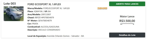 Veja algumas opções do leilão por Reprodução