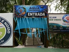 Imagem - Aqua Salvador: conheça o novo aquário temático aberto no Parque das Dunas