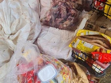 Imagem - Mercado é interditado após vigilância encontrar infestação de insetos; multa pode chegar a R$ 61 mil