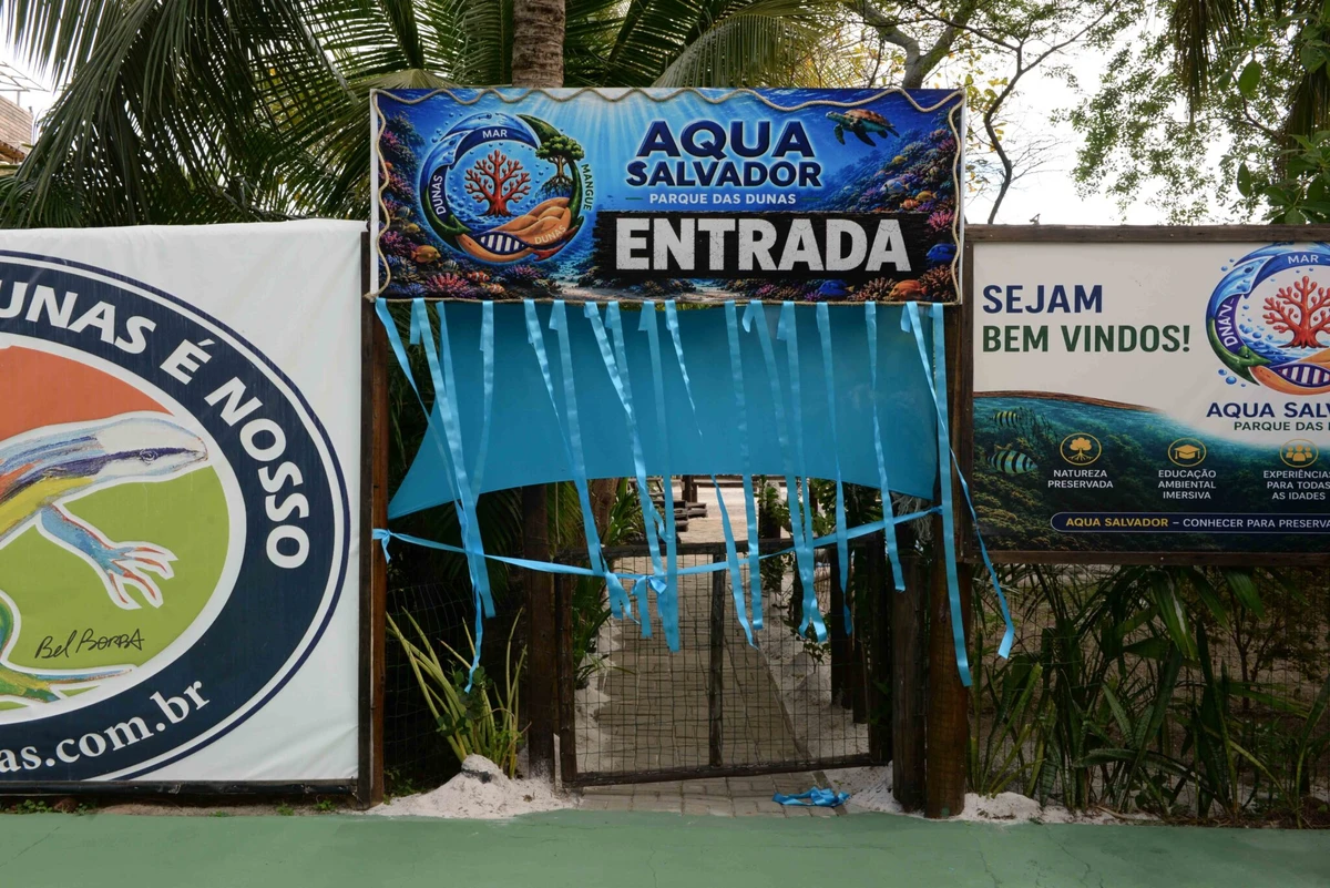 Aqua Salvador: conheça o novo aquário temático aberto no Parque das Dunas