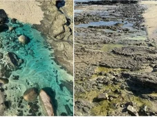 Imagem - Prefeitura decreta emergência após contaminação química em praia do Subúrbio