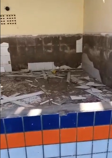 Cães são resgatados de maus-tratos em escola desativada no interior da Bahia por Divulgação